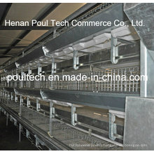 Automatic Galvanization Broiler Chicken Cage (H Type)